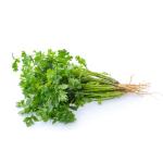 coriander