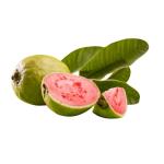Guava