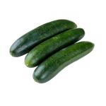Cucumber
