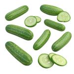 Cucumber