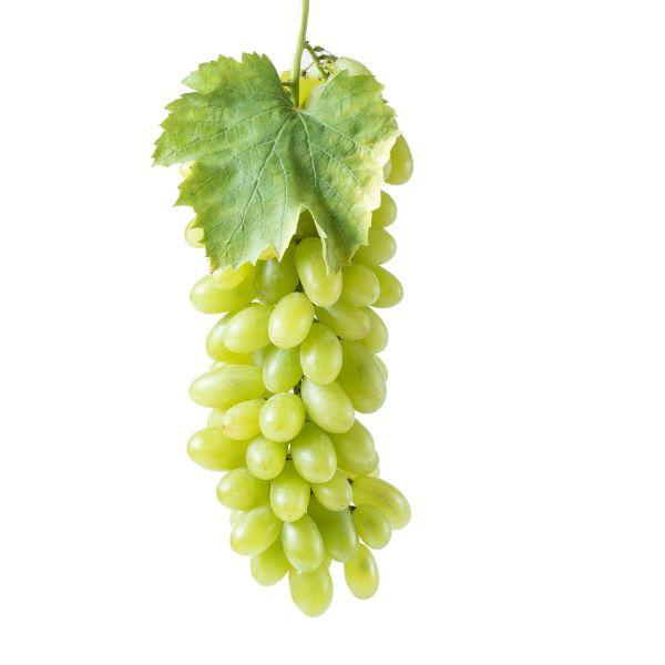 Grapes