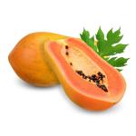 Papaya