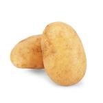 Potato