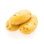 Potato
