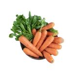 Carrot